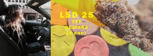 спиды Горнозаводск