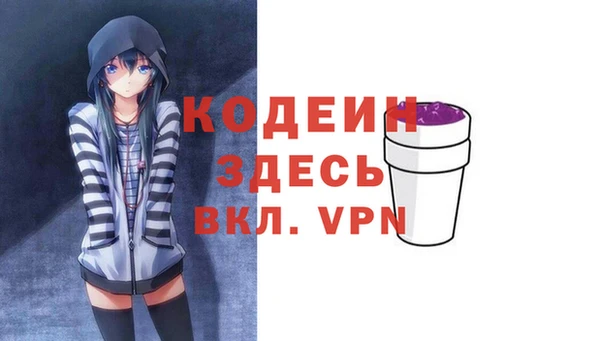 крисы Горняк
