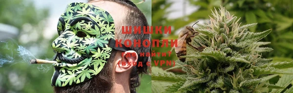 крисы Горняк